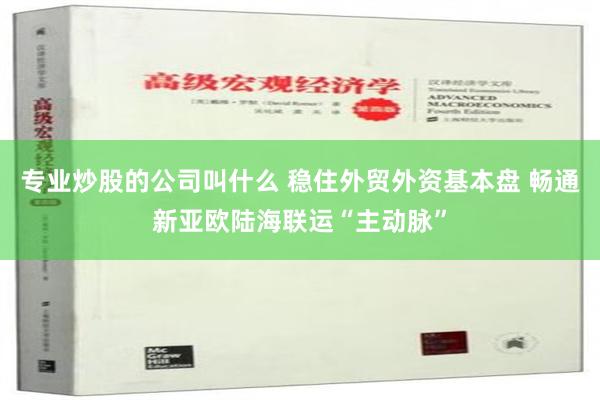 专业炒股的公司叫什么 稳住外贸外资基本盘 畅通新亚欧陆海联运“主动脉”