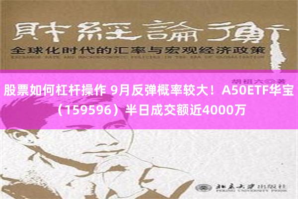 股票如何杠杆操作 9月反弹概率较大！A50ETF华宝（159596）半日成交额近4000万