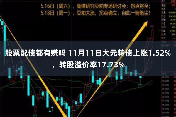 股票配债都有赚吗 11月11日大元转债上涨1.52%，转股溢价率17.73%